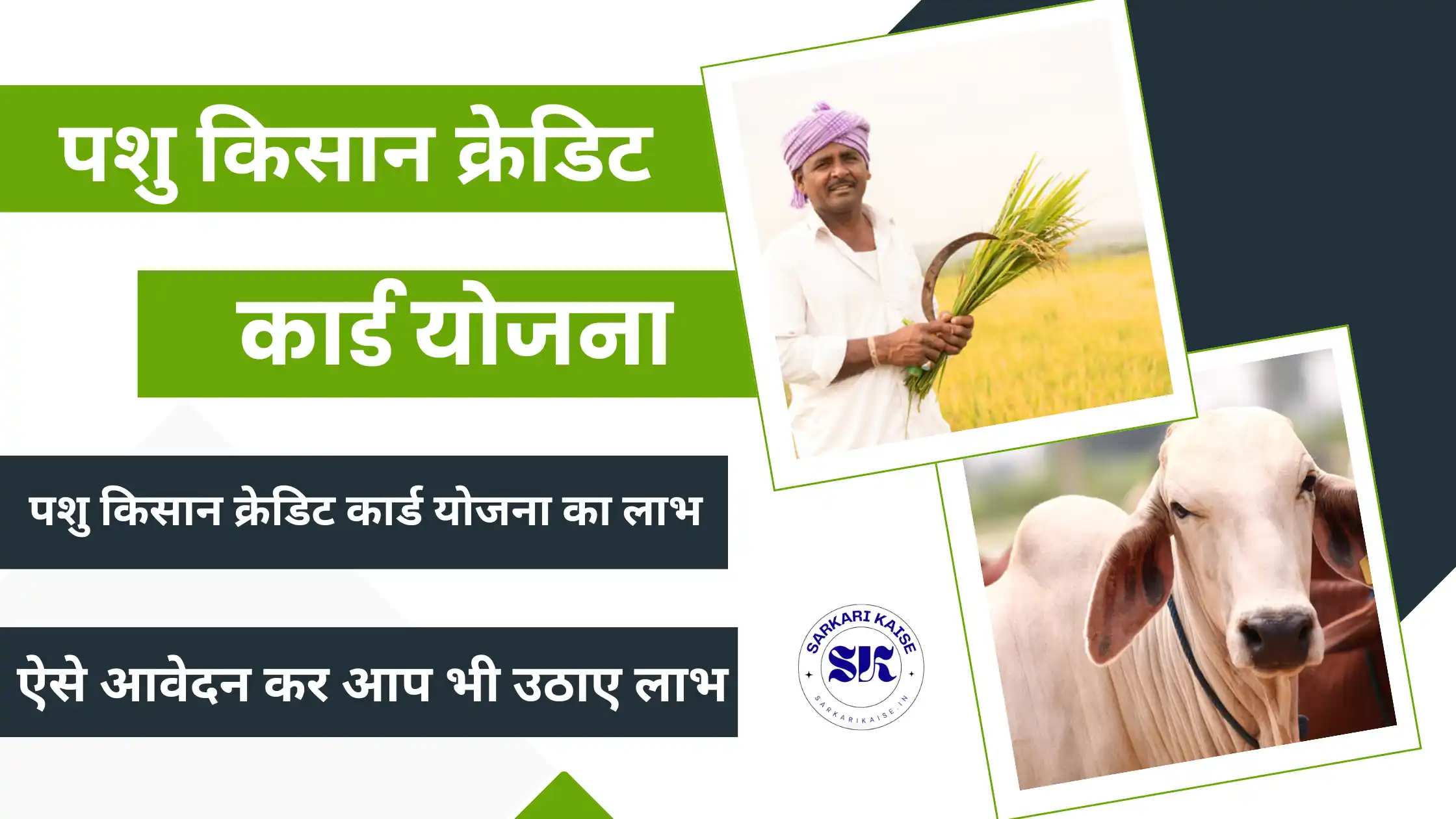 Pashu Kisan Credit Card Yojana Apply